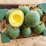 bio avocado bestellen