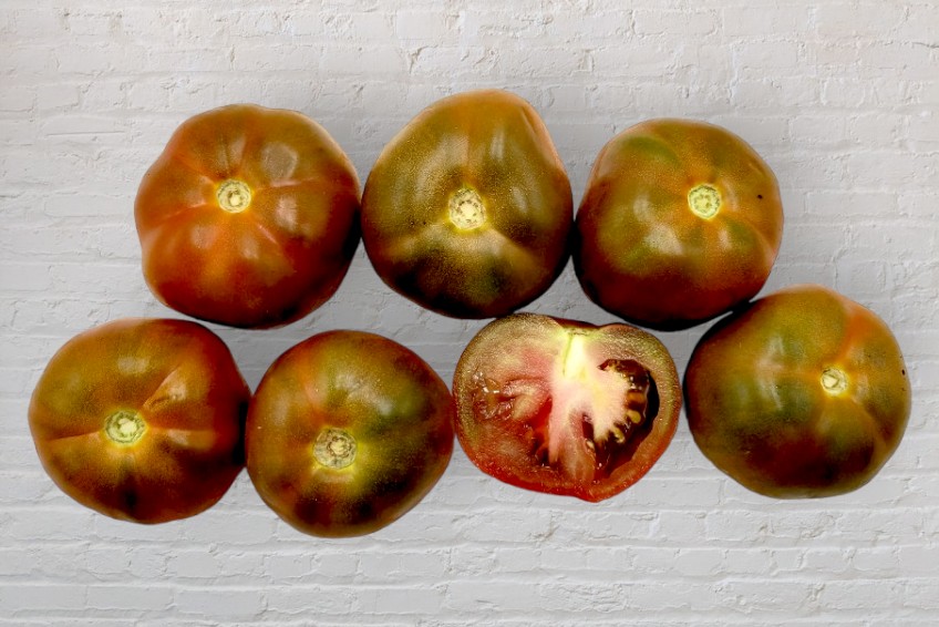 bio tomate schwarz kaufen