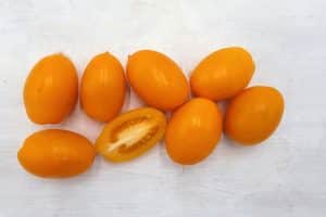 Bio Delikatess-Tomaten gelb "Orange Organza" (alte Sorte) regional 1kg