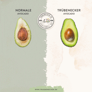 bio avocado kaufen