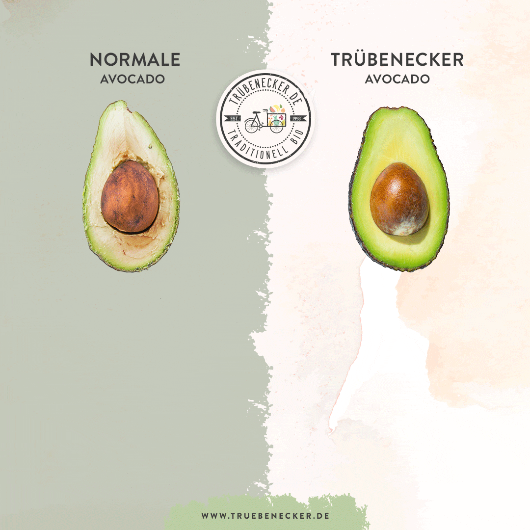 bio avocado kaufen