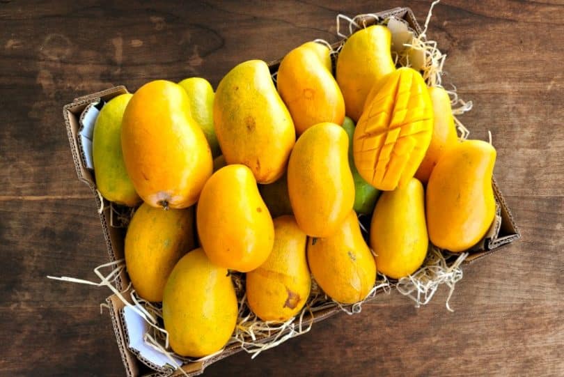 ataulfo mango kaufen