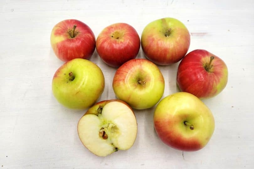 Bio Apfel Rubelit kaufen