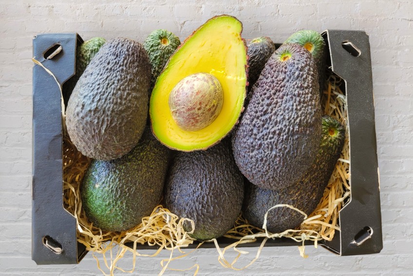 bio avocado hass kaufen