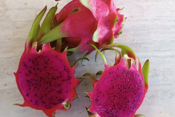drachenfrucht rot kaufen