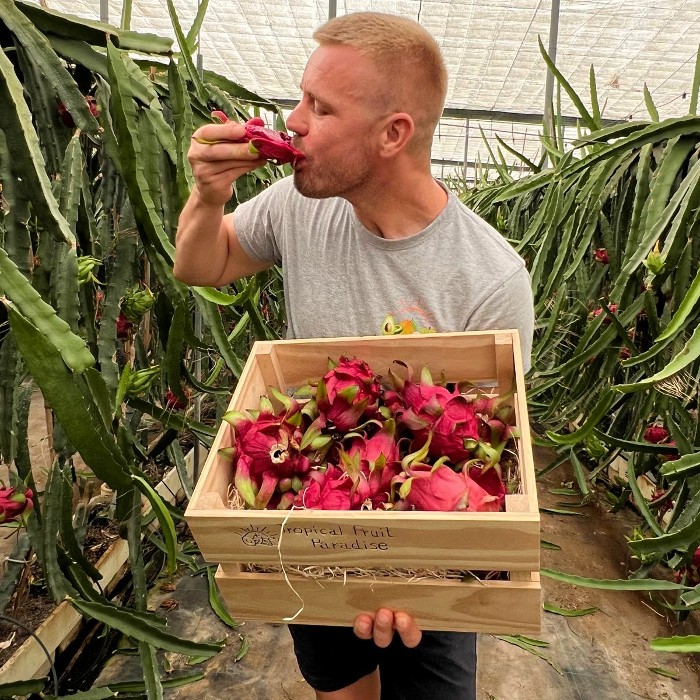 rote pitaya kaufen