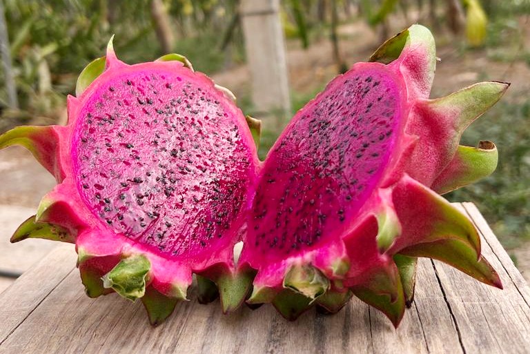 drachenfrucht kaufen