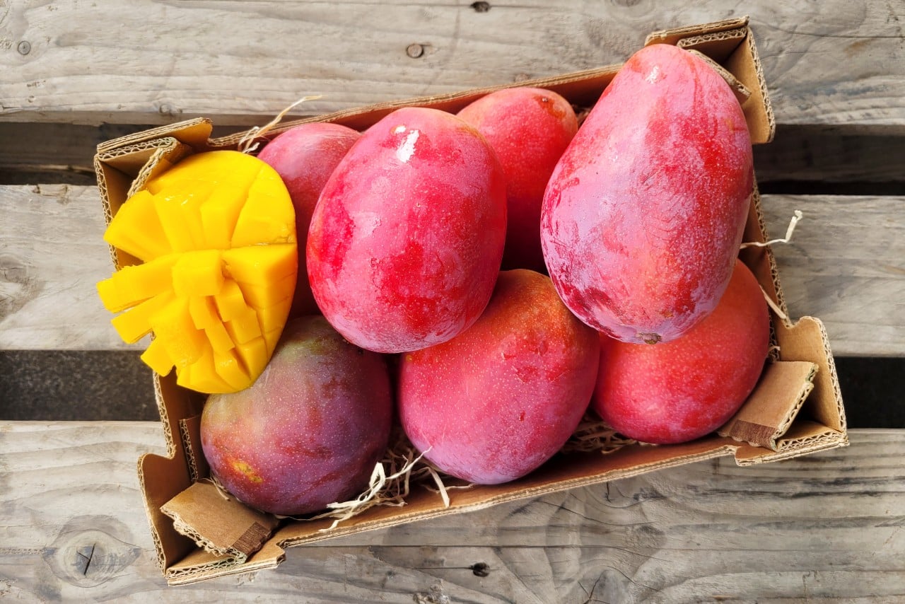 mango irwin kaufen