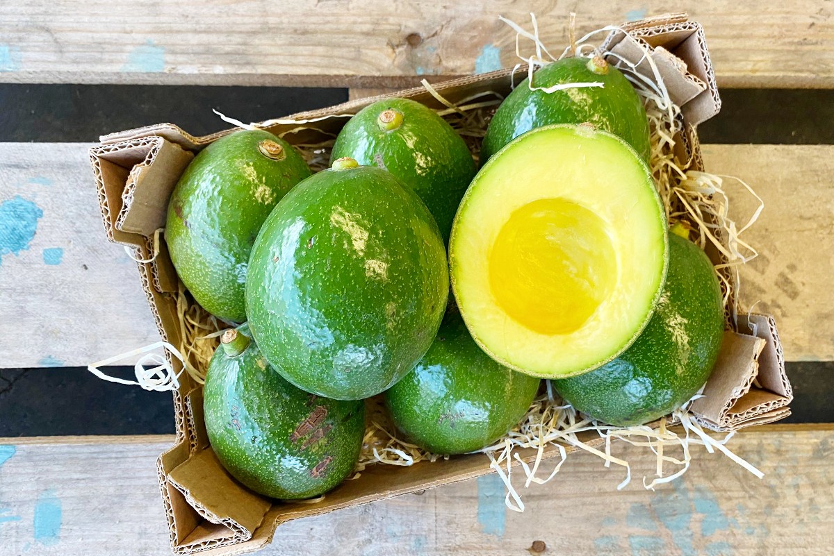 bio avocados kaufen