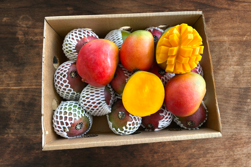 mango Kent kaufen