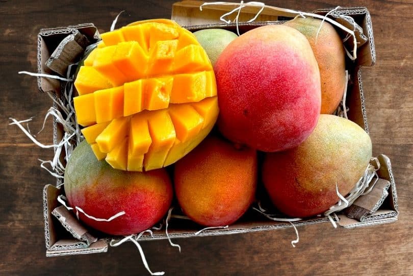 bio mango kaufen