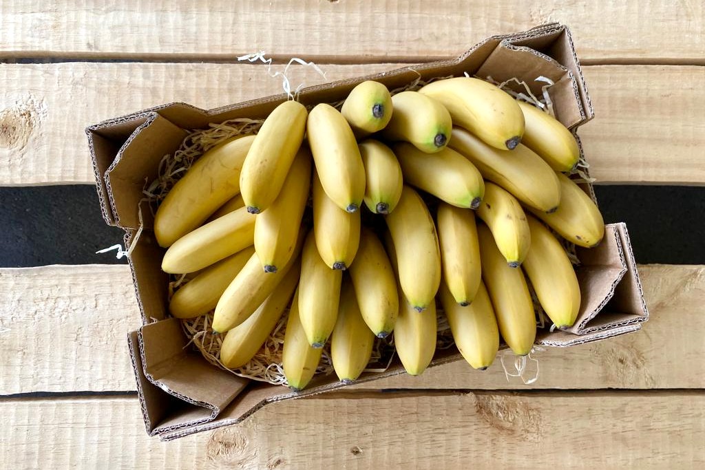 bio babybananen kaufen