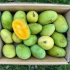 wilde mangos kaufen