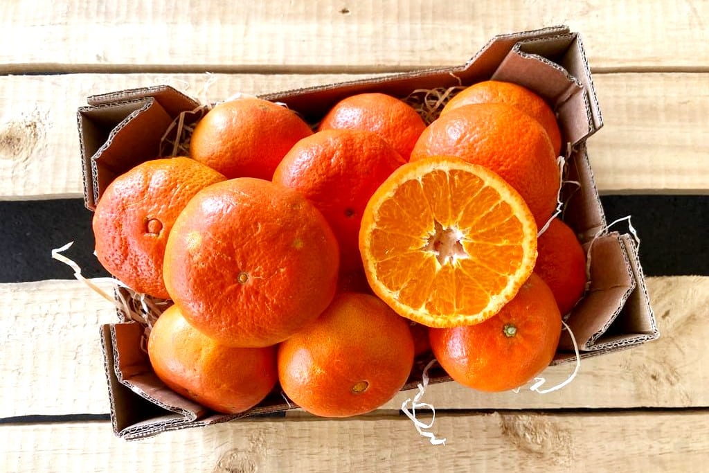 bio clementinen kaufen spanien