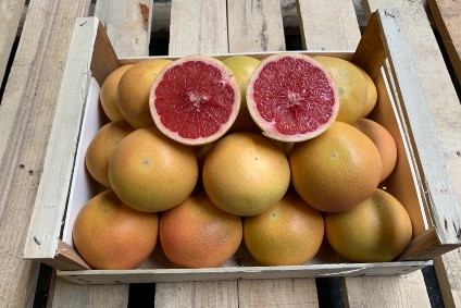 grapefruit kaufen