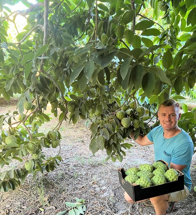 cherimoya bestellen