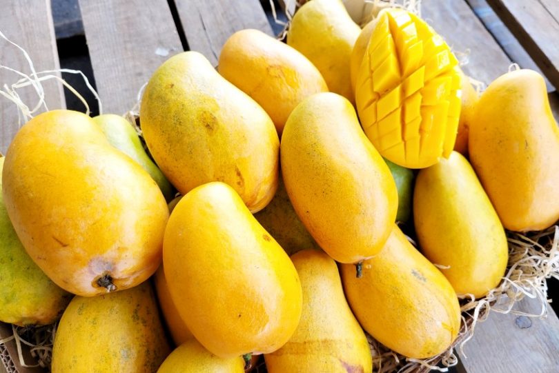 bio honigmango kaufen