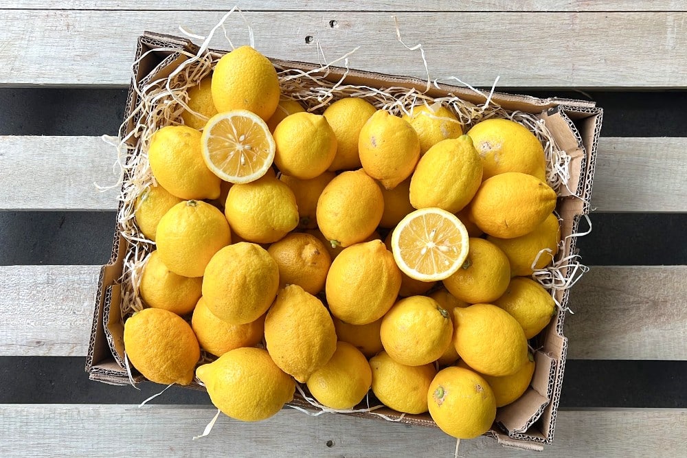 Bio Zitronen liefert Trübenecker.de Obst! Bio | Dir kaufen