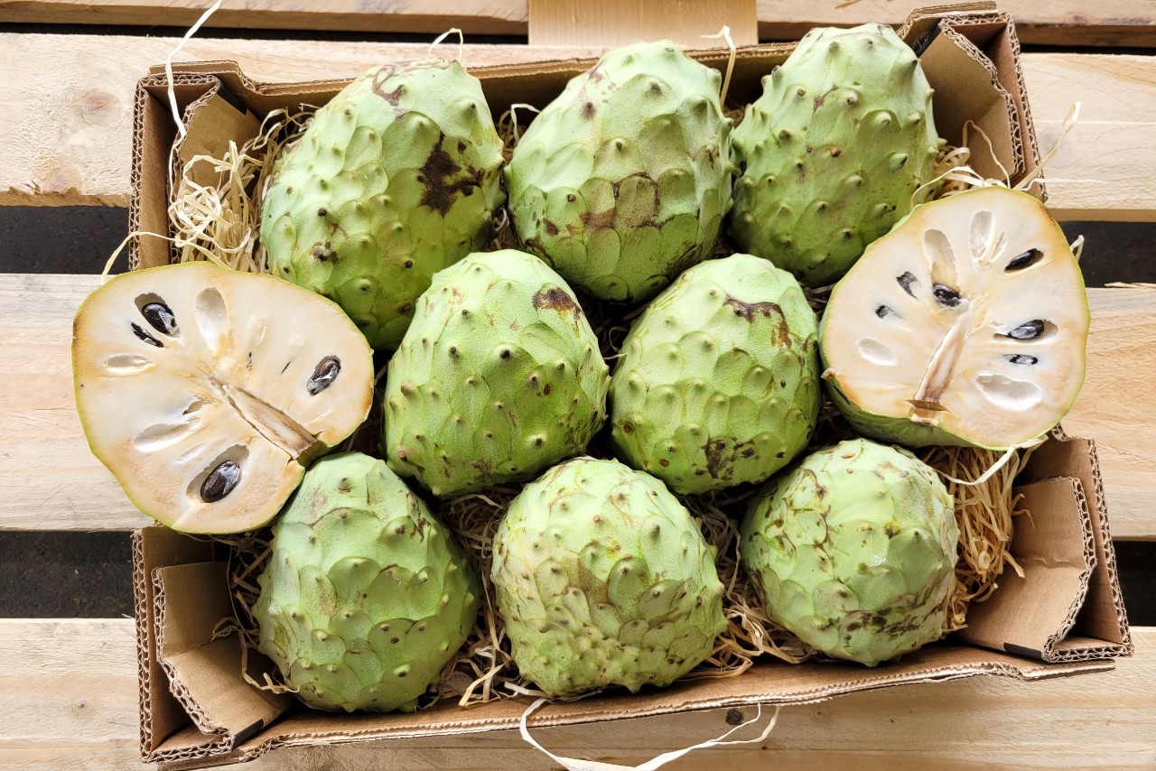 bio cherimoya kaufen