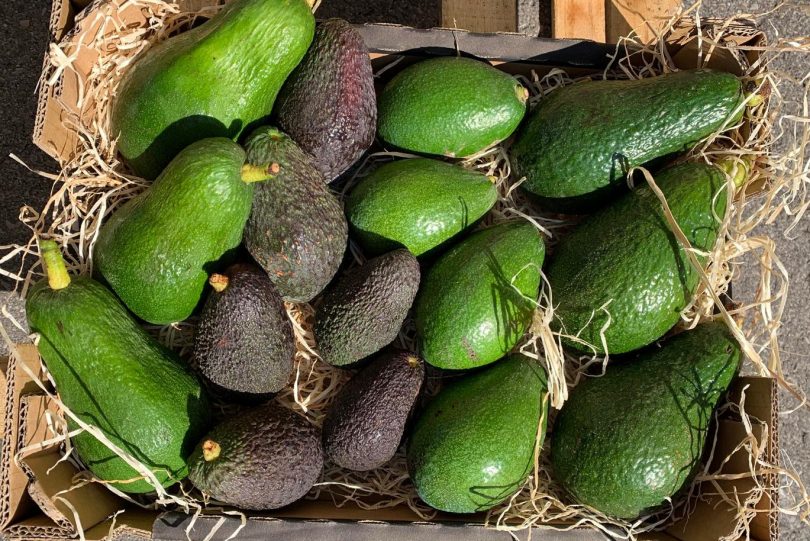 avocados kaufen