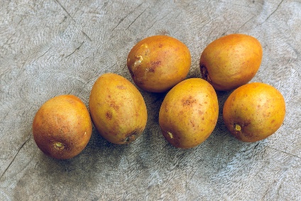 sapodilla kaufen