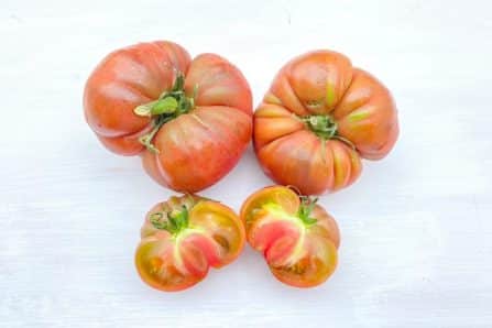 alte tomatensorten kaufen