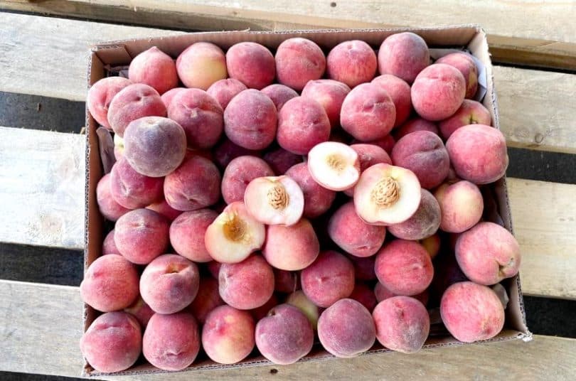 Bio weisse Pfirsiche kaufen