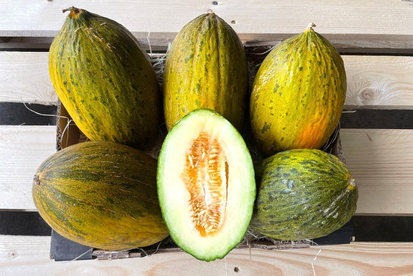 Bio Piel de Sapo Melone kaufen