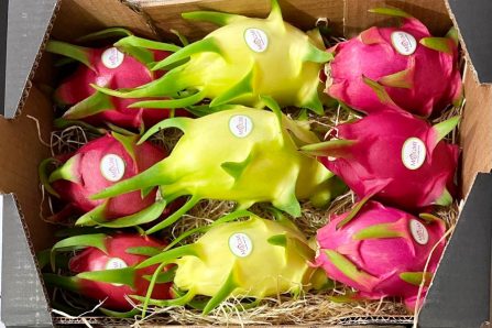 drachenfrucht kaufen
