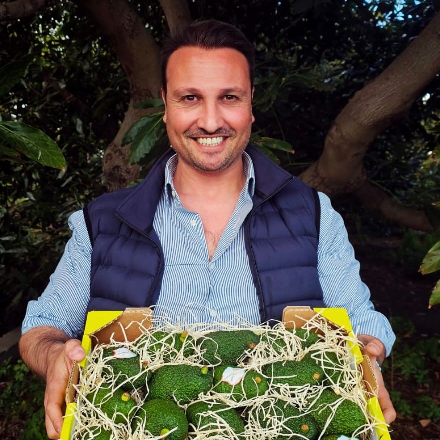 bio avocados aus sizilien kaufen