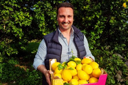 sizilianische Bio Zitronen kaufen