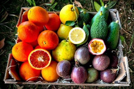bio früchte sizilien kaufen