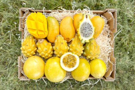 bio früchte aus südamerika kaufen