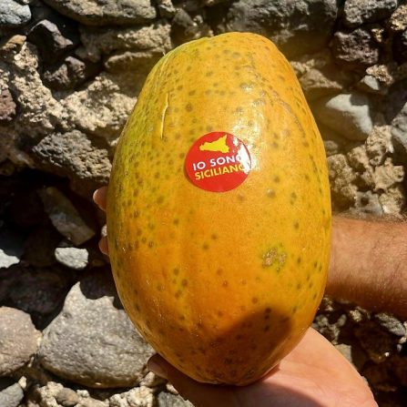 bio papaya kaufen