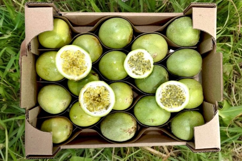 bio maracuja sweet kaufen