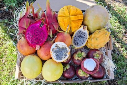 exotische früchte südamerika kaufen