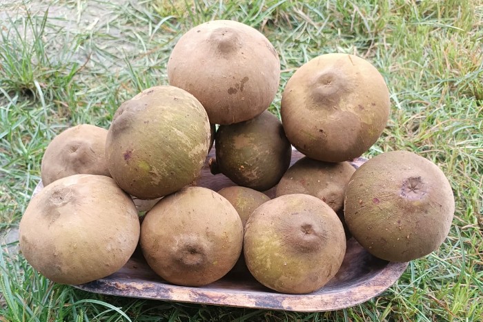 sapote online kaufen