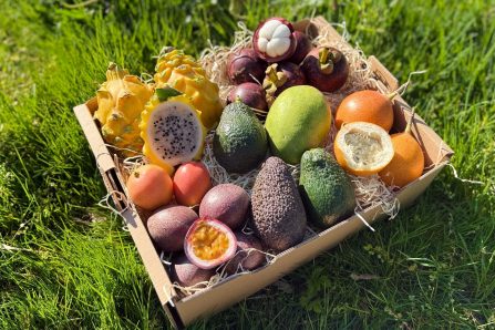 Lieblingsfrüchte Box groß mit exotischen Früchten