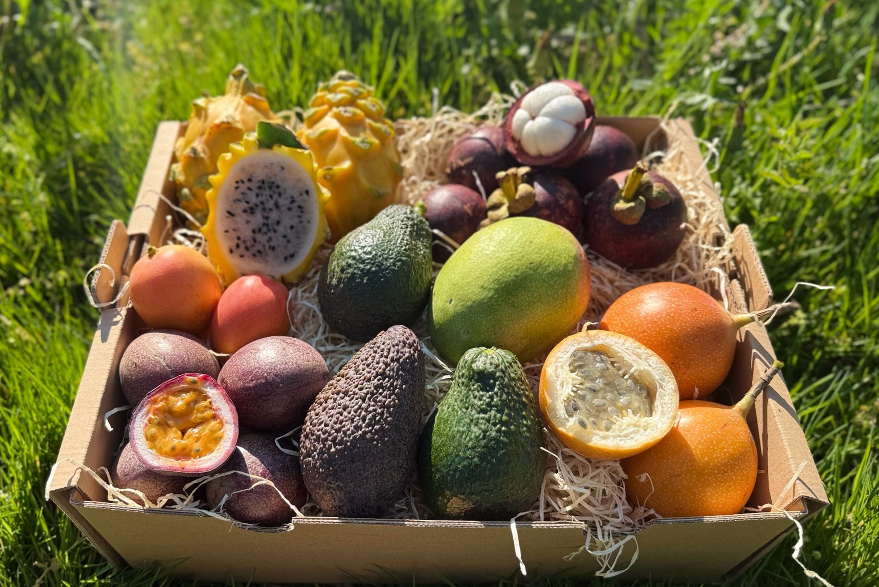 Lieblingsfrüchte Box klein mit exotischen Früchten