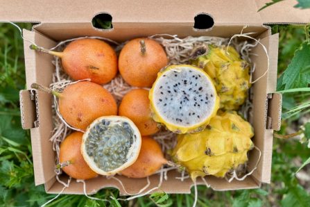 Pitaya-Granadilla-Deluxebox 1,5kg