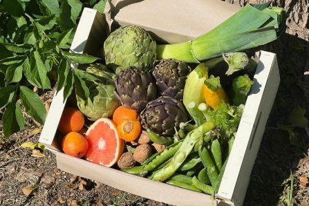 Bio Gemüsebox "Provence Genusskiste"