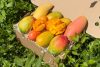 Mango Mix "Mango-Träume" Box Aktionswoche groß