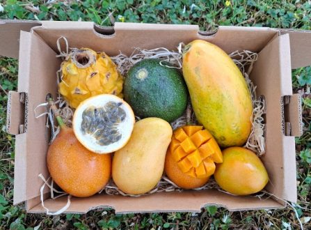 Tropische Weekend-Snackbox