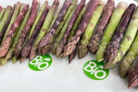 Bio Spargel grün & lila von Jose' Aktionspreis % 2Bund