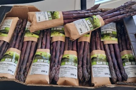 Bio Spargel lila von Jose' 250g Aktionspreis % 1Bund